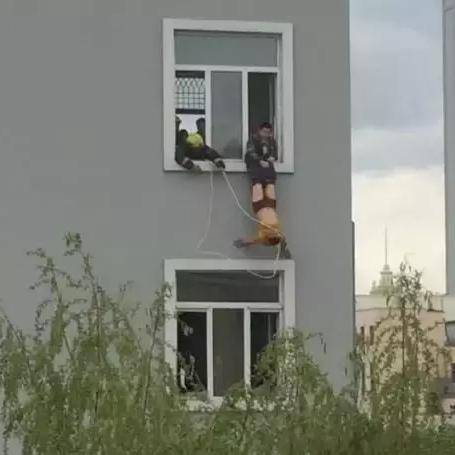 王小屋的屋屋保卫战最新版本：全新玩法和策略解析，让你轻松击败敌人！