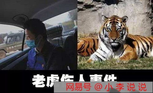 官方回应：击毙咬人老虎是否属于最后手段？采取其他应对措施是否可行？