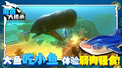 海底大猎杀手机版：探索神秘海底世界，挑战惊险任务，感受真实狩猎乐趣！