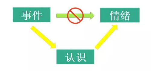 2024新奥资料免费精准天天大全|经典理论与实践的完美结合_X.0.215