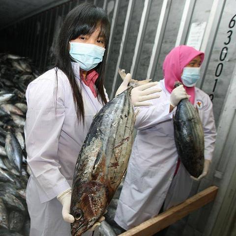 老澳门开奖结果2024开奖记录查询|探索城市新魅力让旅行更精彩_研究款.0.871